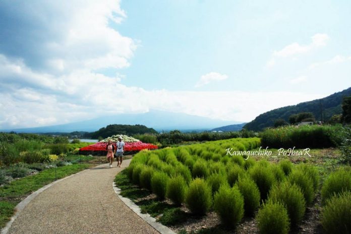 Kawaguchiko Lake Sightseeing