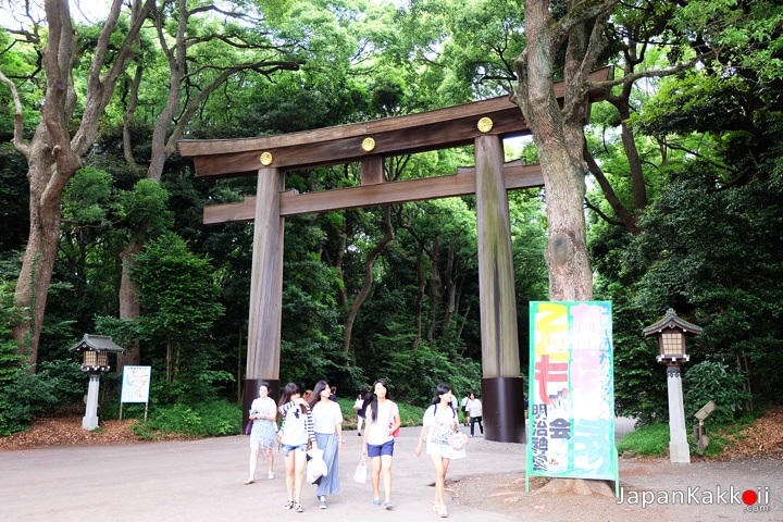 Meiji Shrine Torii