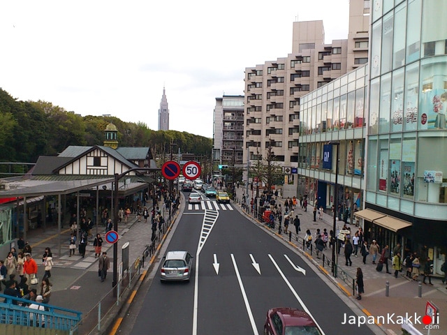 View from Harajuku Overpass