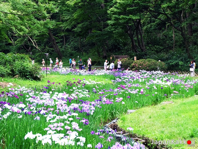 Meiji Shrine Inner Garden (Meiji Jungu Gyoen)