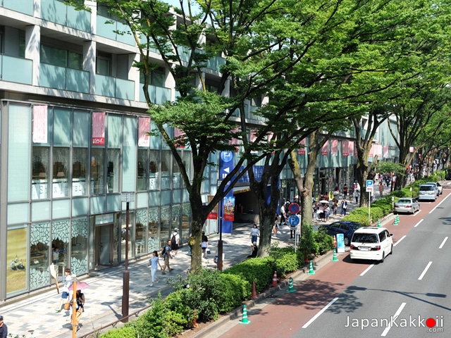 Omotesando Road