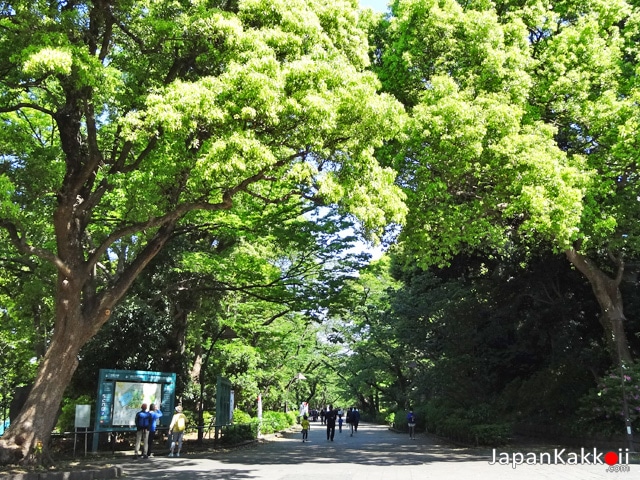 สวนอุเอโนะ (Ueno Park)