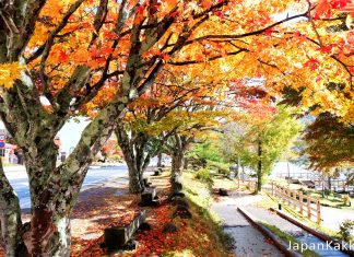 วิธีการเดินทางจากโตเกียวไปนิกโก้ (Nikko) ด้วยตั๋ว Tobu Nikko Pass วิธีการเดินทางไปนิกโกด้วย Nikko Pass