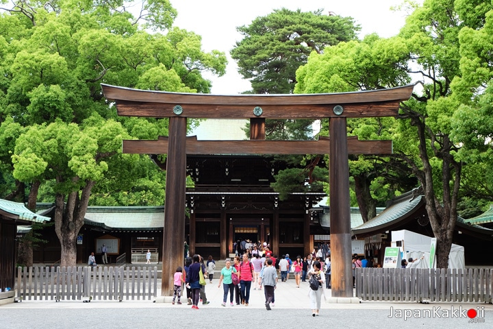 Meiji-Shrine-Torii-2