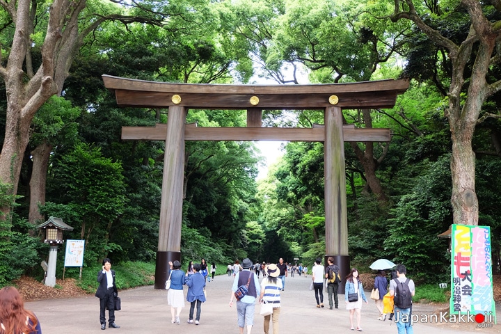 Meiji-Shrine-Torii