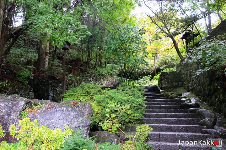 Toshogu Shrine Stairs