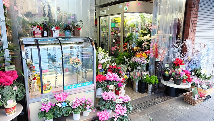 ร้านดอกไม้