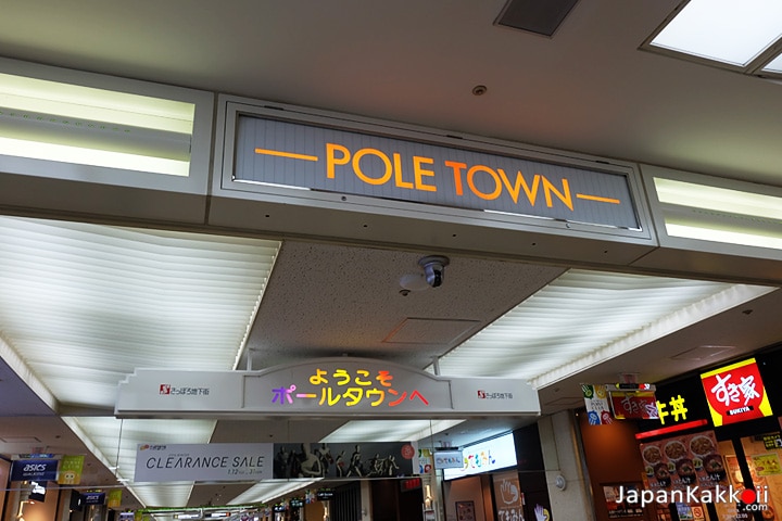 Sapporo Pole Town