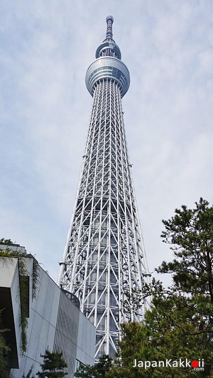 Tokyo Skyree