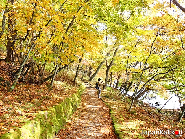 ใบไม้เปลี่ยนสีที่นิกโก้ (Nikko)