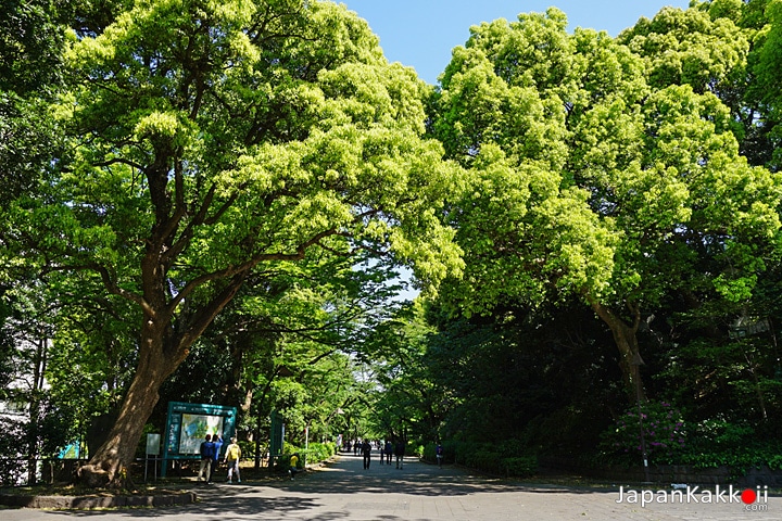 สวนอุเอโนะ (Ueno Park)