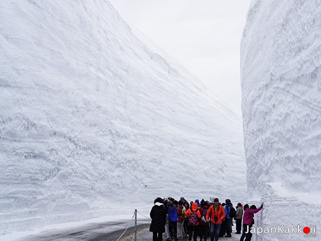 กำแพงหิมะ (Snow Wall)