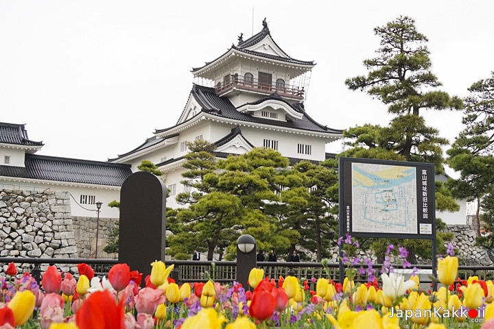 ปราสาทโทยาม่า (Toyama Castle)