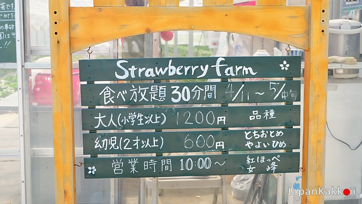 Chichibu Strawberry Farm
