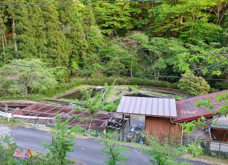 WWOOF Japan : รีวิวประสบการณ์วูฟที่ญีปุ่นครั้งแรกในชีวิต ช่วยโฮสเลี้ยงเด็กน้อย (ตอนจบ) รีวิวประสบการณ์วูฟที่ญีปุ่น