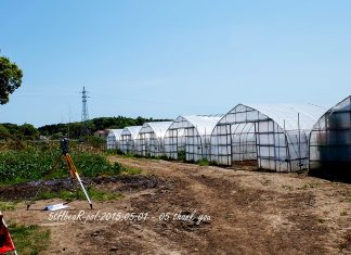 WWOOF Japan : รีวิวประสบการณ์วูฟที่ญีปุ่นครั้งแรกในชีวิต ไปเป็นเด็กฟาร์มที่จ.อิบารากิ WWOOF Japan