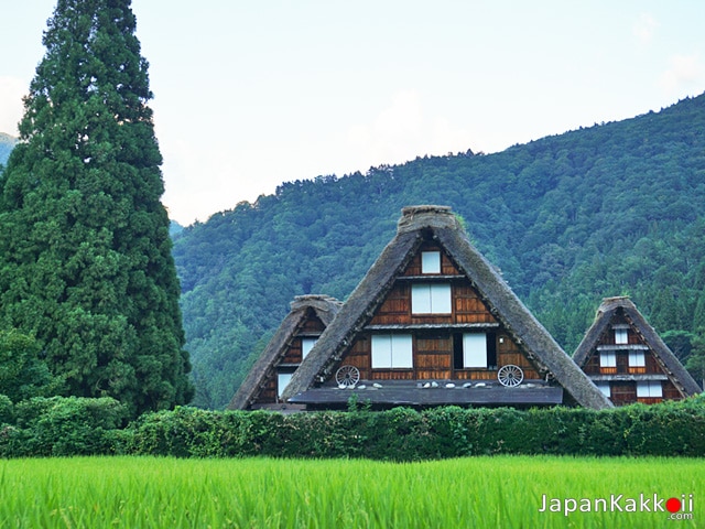 หมู่บ้านในชิราคาวาโก (Shirakawa-go)