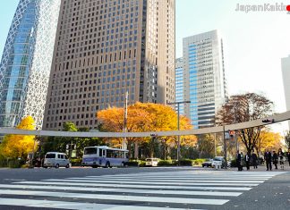 เตรียมตัวเที่ยวโตเกียวและคันโต พร้อมพยากรณ์อากาศ และการแต่งตัวที่จะไม่ทำให้คุณตกเทรนด์ฤดูใบไม้ร่วงนี้ เที่ยวโตเกียว พยากรณ์อากาศ