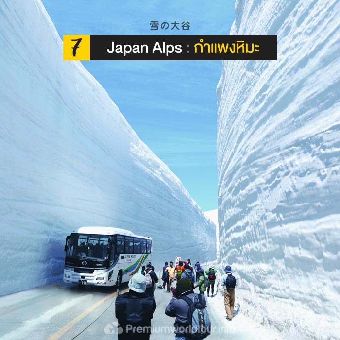ชมกำแพงหิมะ : Japan Alps