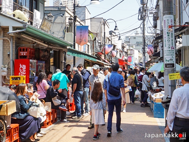 ถนนยานากะกินซ่า (Yanaka Ginza)