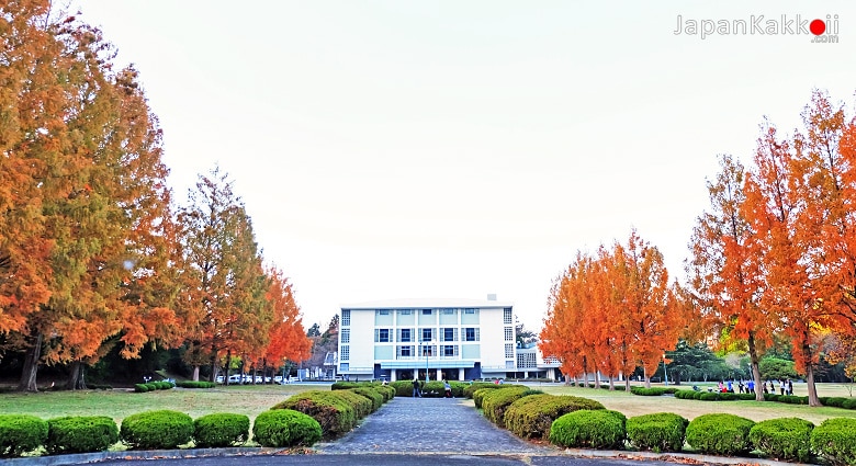 Tohoku University Kawauchi South Campus