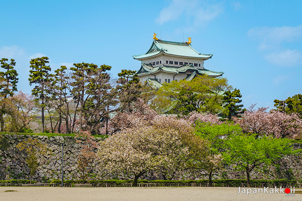 ปราสาทนาโกย่า (Nagoya Castle) แลนด์มาร์คและจุดชมซากุระเมืองนาโกย่า (Nagoya)