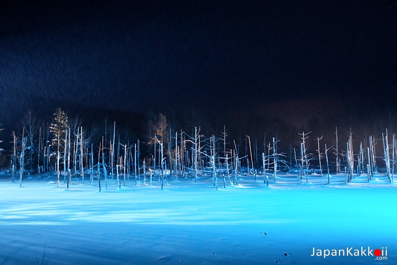 Blue Pond Winter Illumination