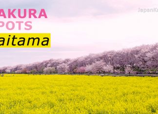 3 จุดชมซากุระบานยอดนิยมในจังหวัดไซตามะ (Saitama) ที่ห้ามพลาด! จุดชมซากุระในจังหวัดไซตามะ (Saitama)
