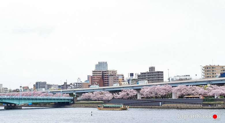 แม่น้ำสุมิดะ (Sumida River)