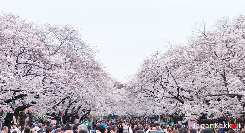 สวนสาธารณะอุเอโนะ (Ueno Park)