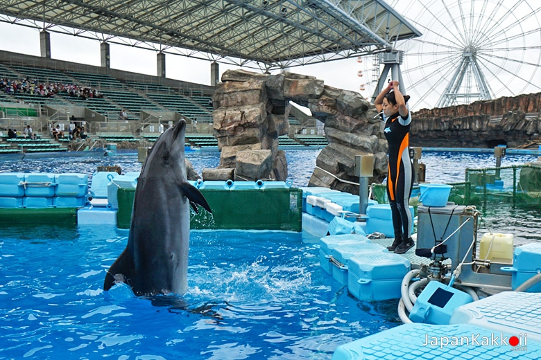พิพิธภัณฑ์สัตว์น้ำท่าเรือนาโกย่า (Port of Nagoya Public Aquarium)