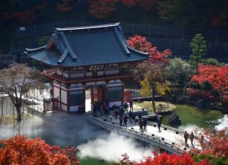 ตารางพยากรณ์ 15 จุดชมใบไม้เปลี่ยนสีจังหวัดโอซาก้า (Osaka) ปี 2018 แบบละเอียดสุดๆ (อัพเดตล่าสุด Oct 15, 2018) 15 จุดชมใบไม้เปลี่ยนสีจังหวัดโอซาก้า (Osaka)