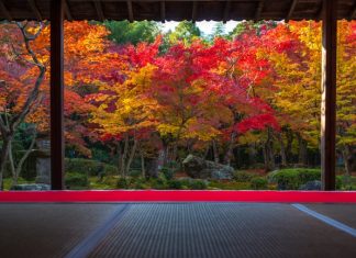 ตารางพยากรณ์ 23 จุดชมใบไม้เปลี่ยนสีจังหวัดเกียวโต (Kyoto) ปี 2018 แบบละเอียดสุดๆ (อัพเดตล่าสุด Oct 19, 2018) จุดชมใบไม้เปลี่ยนสีจังหวัดเกียวโต (Kyoto)