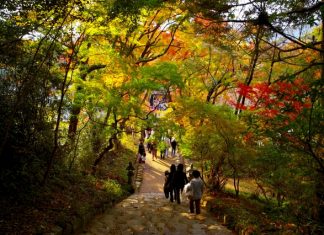 ตารางพยากรณ์ 17 จุดชมใบไม้เปลี่ยนสีจังหวัดฟุกุโอกะ (Fukuoka) ปี 2018 แบบละเอียดสุดๆ (อัพเดตล่าสุด Nov 1, 2018) จุดชมใบไม้เปลี่ยนสีจังหวัดฟุกุโอกะ (Fukuoka)