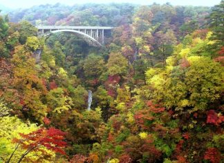 ตารางพยากรณ์ 13 จุดชมใบไม้เปลี่ยนสีจังหวัดมิยางิ (Miyagi) ปี 2018 แบบละเอียดสุดๆ (อัพเดตล่าสุด Oct 8, 2018)