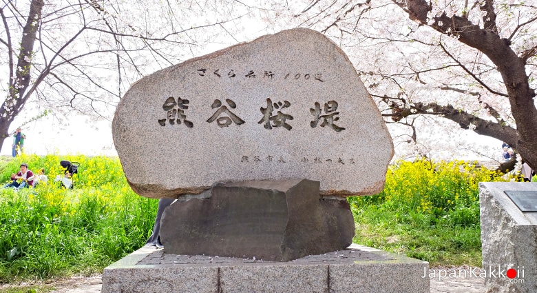 Kumagaya Sakura Tsutsumi (熊谷桜堤)