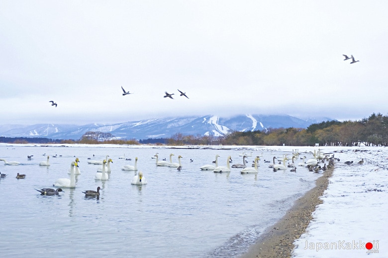 Lake Inawashiro (猪苗代湖)