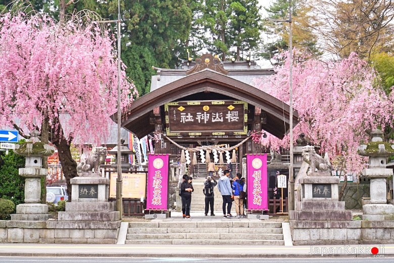 ศาลเจ้าซากุระยามะ (Sakurayama Shrine / 櫻山神社)