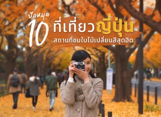 ปักหมุด 10 ที่เที่ยวญี่ปุ่น! สถานที่ชมใบไม้เปลี่ยนสีสุดฮิต ที่เที่ยวญี่ปุ่น! สถานที่ชมใบไม้เปลี่ยนสีสุดฮิต
