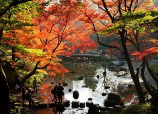 ตารางพยากรณ์ 36 จุดชมใบไม้เปลี่ยนสีในโตเกียว (Tokyo) ปี 2019 (อัพเดตล่าสุด Oct 28, 2019) พยากรณ์ใบไม้เปลี่ยนสีในโตเกียว (Tokyo)