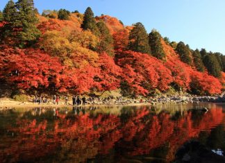 ตารางพยากรณ์ 15 จุดชมใบไม้เปลี่ยนสีรอบๆ นาโกย่า (Nagoya) ปี 2019 (อัพเดตล่าสุด Oct 28, 2019) ตารางพยากรณ์ใบไม้เปลี่ยนสีรอบๆ นาโกย่า (Nagoya)