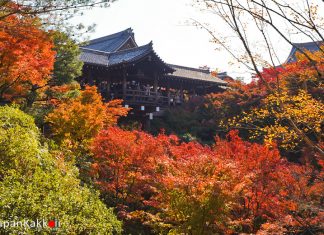 ตารางพยากรณ์ใบไม้เปลี่ยนสี 2019 ที่ญี่ปุ่น แบบละเอียดยิบ (อัพเดตล่าสุด Oct 24, 2019) พยากรณ์ใบไม้เปลี่ยนสี 2019 ที่ญี่ปุ่น