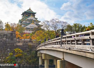 ตารางพยากรณ์ใบแปะก๊วยเปลี่ยนสี 2019 ที่ญี่ปุ่น (อัพเดตล่าสุด Oct 24, 2019) พยากรณ์ใบแปะก๊วยเปลี่ยนสี 2019 ที่ญี่ปุ่น