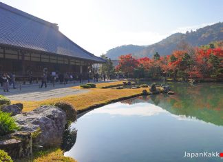 ตารางพยากรณ์ 23 จุดชมใบไม้เปลี่ยนสีในเกียวโต (Kyoto) ปี 2019 (อัพเดตล่าสุด Sep 27, 2019) พยากรณ์ใบไม้เปลี่ยนสีในเกียวโต (Kyoto)