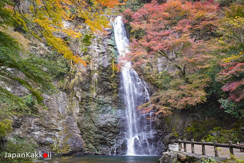 Minoo Park (Meiji no Mori Minoh Park)