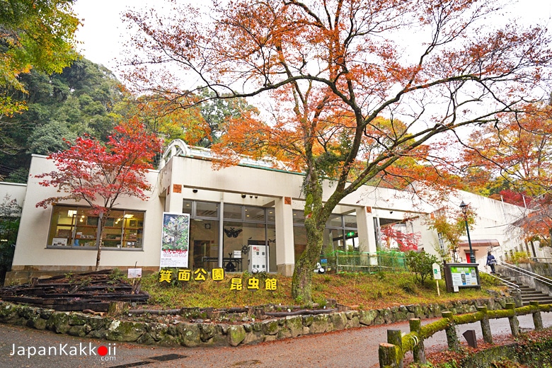 Minoh Park Insectarium (箕面公園昆虫館)