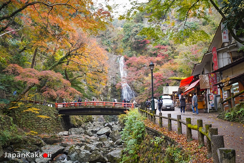 Meiji no Mori Minoh Park (明治の森箕面国定公園)