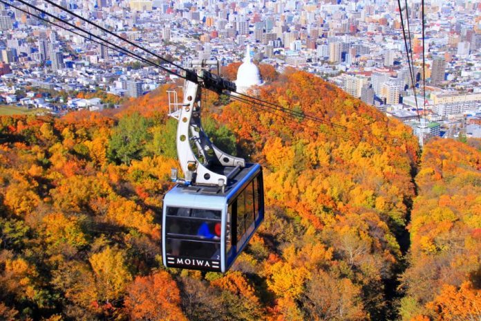 พยากรณ์ใบไม้เปลี่ยนสีในฮอกไกโด (Hokkaido)