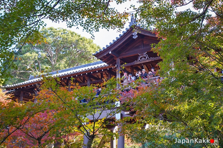 วัดโทฟุคุจิ (Tofukuji Temple / 東福寺)