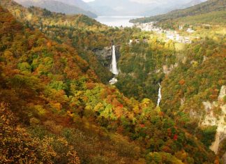 เที่ยวนิกโกะ (Nikko) ง่ายๆ ด้วย NIKKO PASS all area เดินทางสะดวกจากโตเกียว เที่ยวนิกโกะ (Nikko) ด้วย NIKKO PASS all area